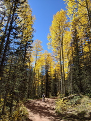 Bear Creek Trail