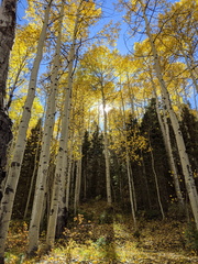 Bear Creek Trail Golden Hour