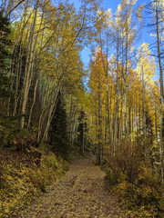 Bear Creek Trail